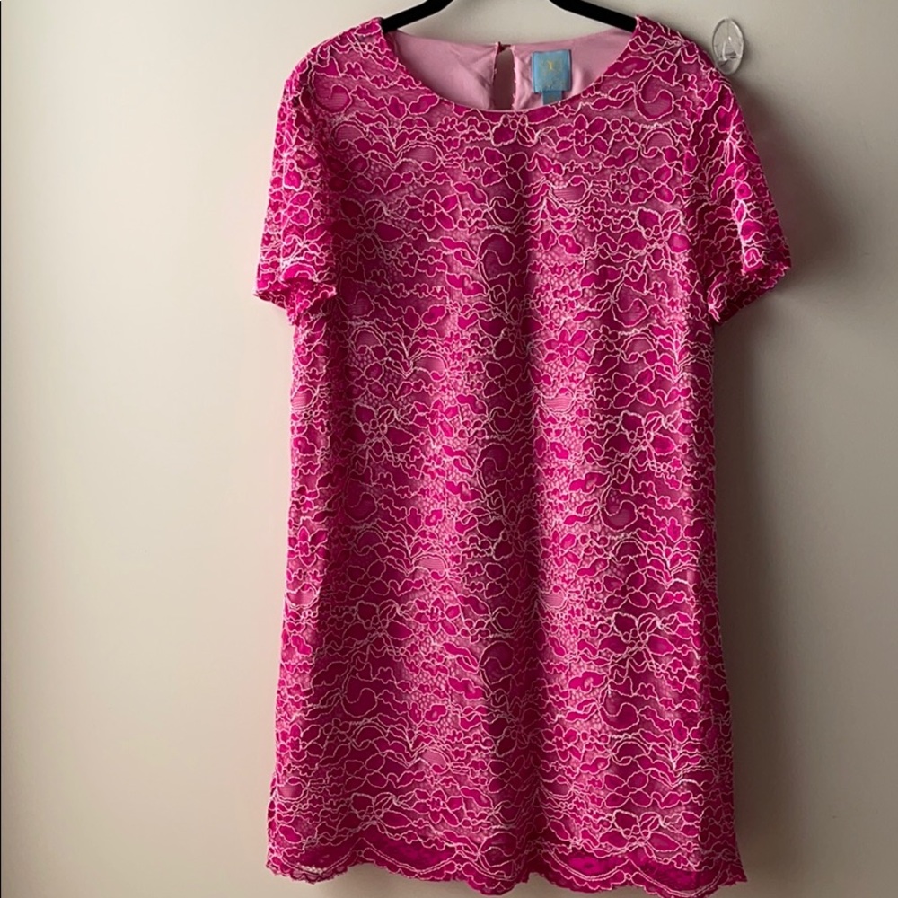 CeCe Women’s Floral Pink Lace Dress, Size 10P
